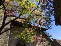 2017-04-29 15-07-57 581cc0cd